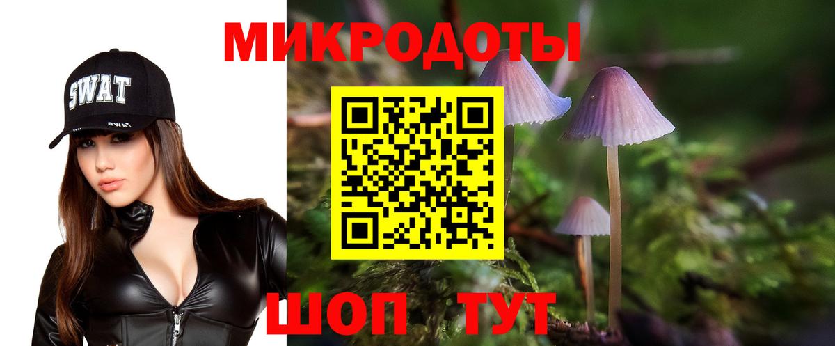 Карпинск  Галлюциногенные грибы Magic Shrooms  купить   Галлюциногенные грибы ЛСД  Вход с VPN 